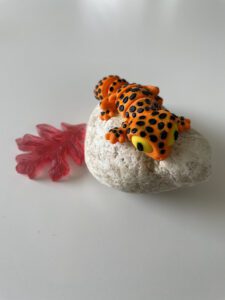 eko-model-gekon-oranzovy