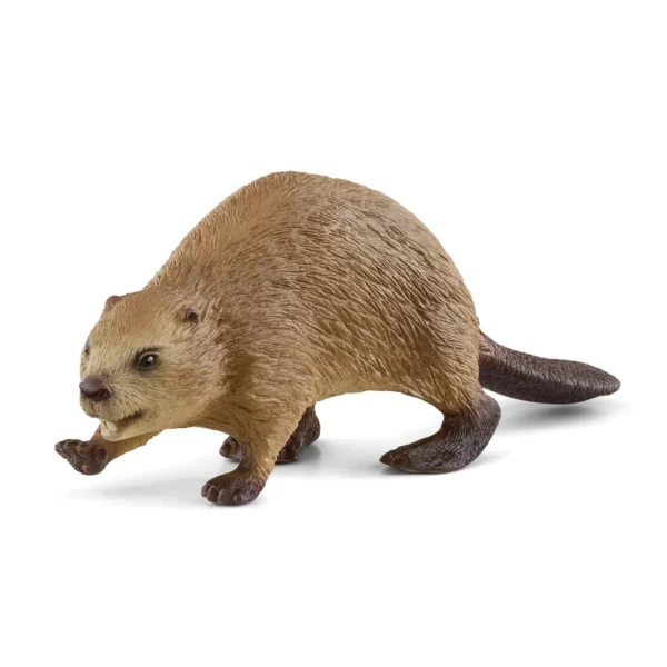schleich-bobr