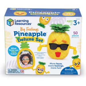 6375 Deluxe Pineapple BOX cnt sh 1