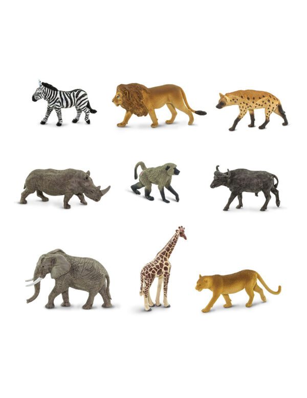 Tuba - Zvířata Jižní Afriky - Image 3