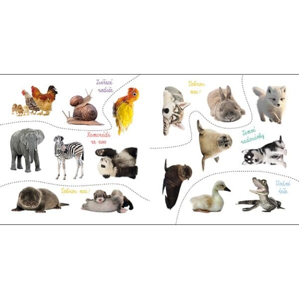 0006621 velke samolepky pro male rucicky mladatka