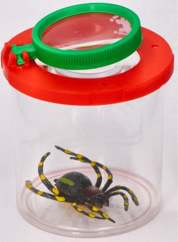 Goki-nadobka-na-hmyz