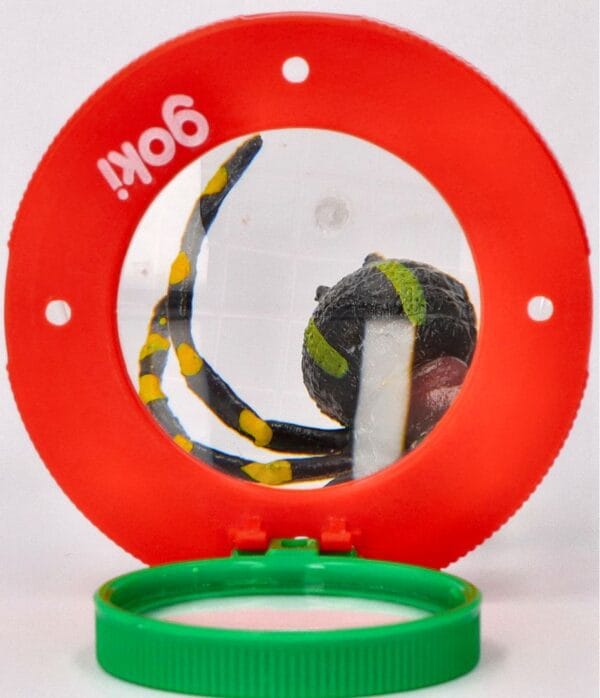 Goki-nadobka-na-hmyz