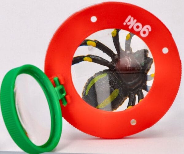 Goki-nadobka-na-hmyz