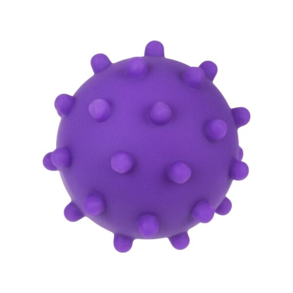 TU419-senzoricke-micky