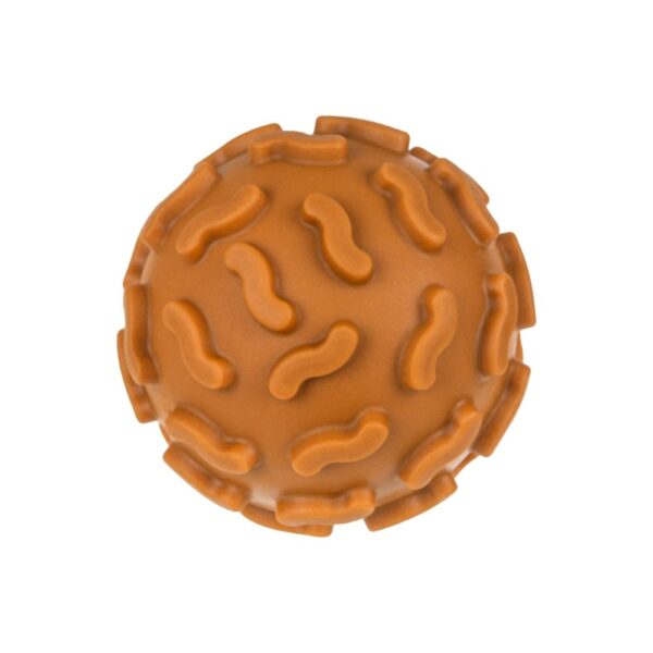 TU419-senzoricke-micky