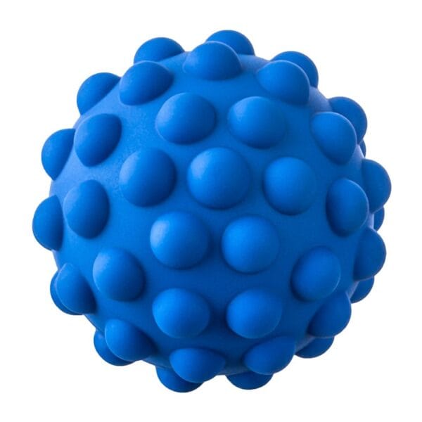 TU419-senzoricke-micky