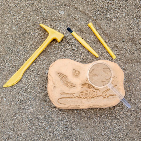 5340 GS fossil excavation lifestyle 2020 100 2