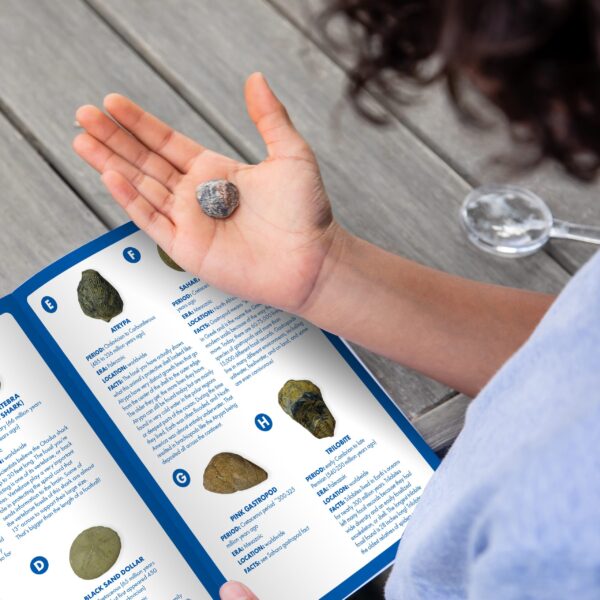 5340 GS fossil excavation lifestyle 2020 131 2 scaled