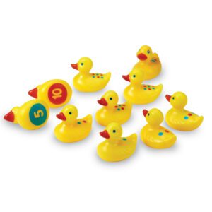 7301 numducks sh 1 2
