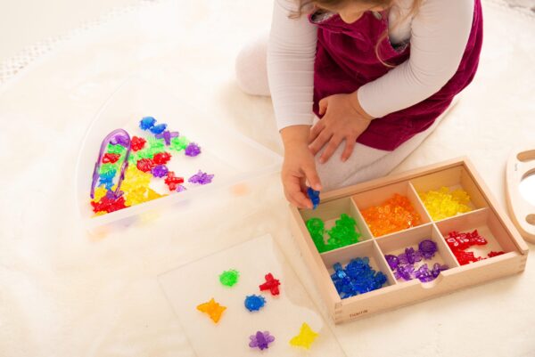 tickit-prusvitny-barevny-hmyz