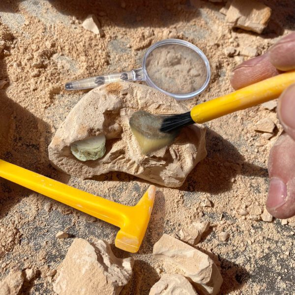 e5340 Fossil Excavation Kit lifestyle web