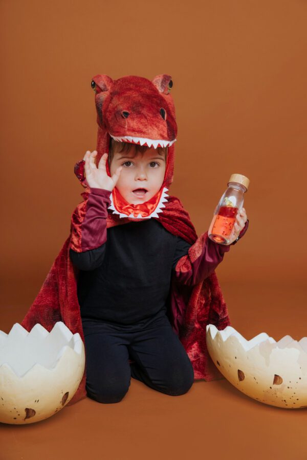 eng pl Petit Boum sensory bottle two phase MOVE T Rex 337 2