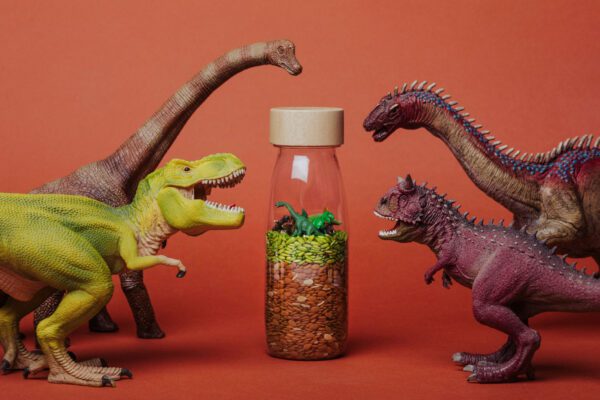 eng pl Petit Boum Sound Bottle Dragon 340 6