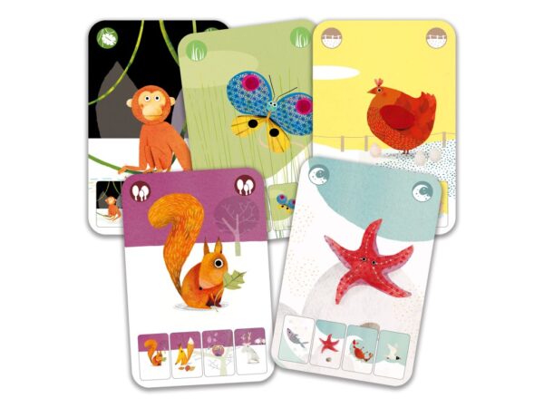 dj05128-kvarteto-zviratka