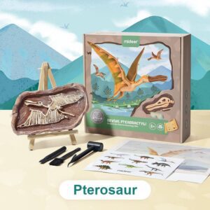Mideer: Vykopávání dinosaurů - Pterosaurus