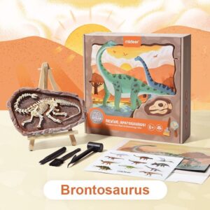 Mideer: Vykopávání dinosaurů - Brontosaurus