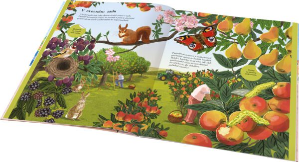 kone-slepice-a-dalsi-zviratka-z-farmy-kniha-samolepek