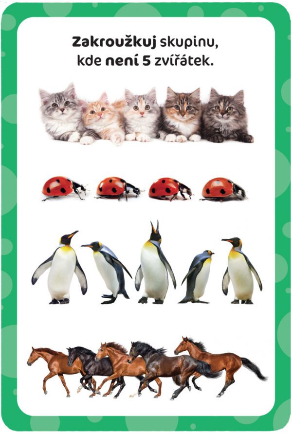 kouzelny tablet stiratelne karty prvni pocitani 838363 42