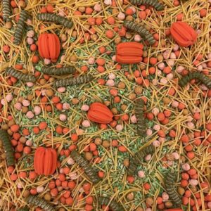 Zvídohraní – senzorická směs Dýňobraní (600g)