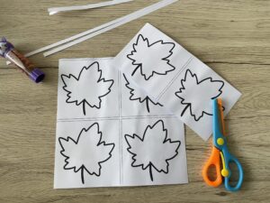 IMG 2109 scaled e1761397550855