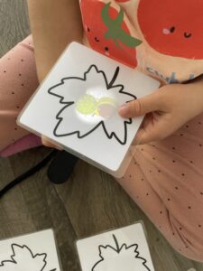 prosvetlovaci-karticky