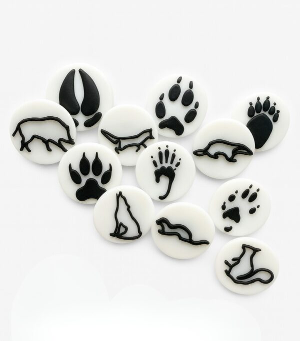 3bd9fc66 971c 4f9c a298 af6705e27f4e.png