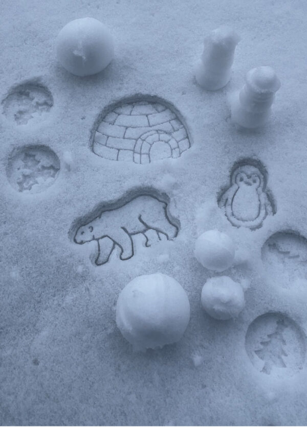 IMG 5378 e1768423818952