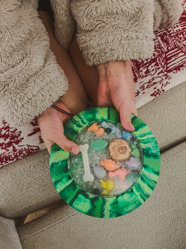 Jellystone Senzoricky Disk Dinosauri 3