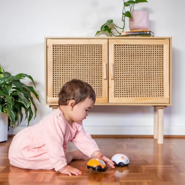 PullBacksCatandMouse TigerTribe1 web