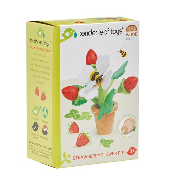 TL8356 starwberry plant box