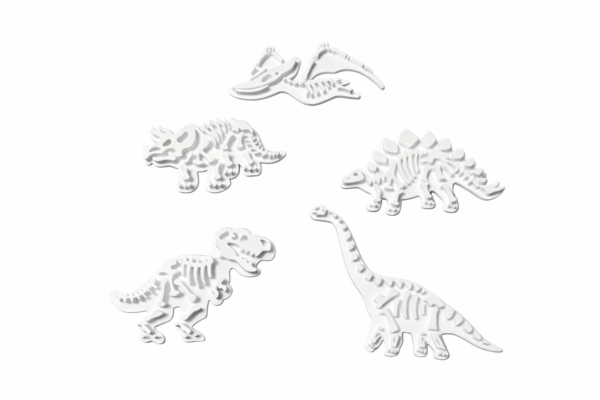 TVO027 razitka 2v1 fosilie