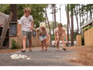 BS_GA541-chameleon-honba-za-barvami