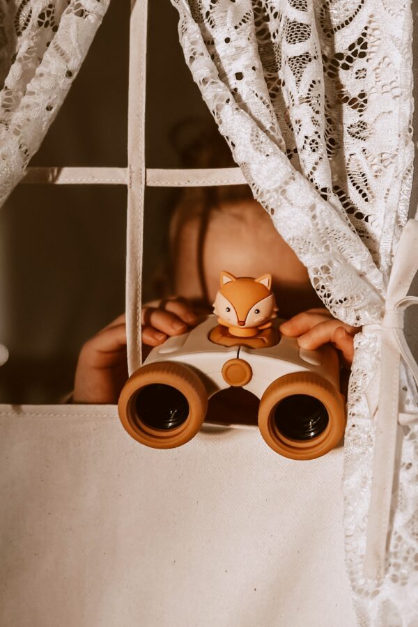 TheZoofamily Zoo Eyes Binocular Fox Child Hiden Cabin Photo 1