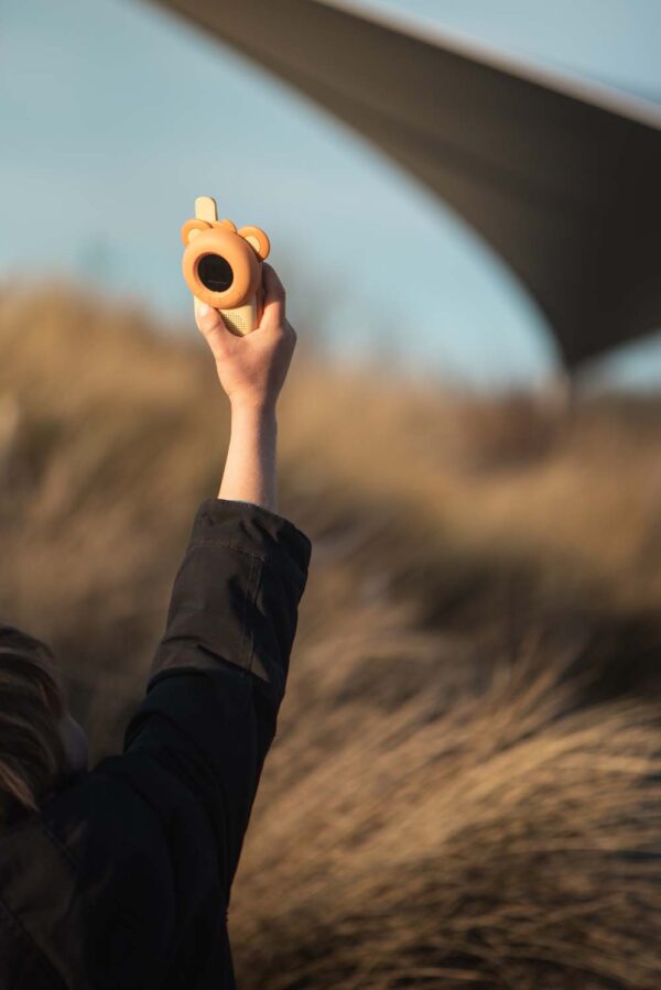 The zoofamily walkie talkie bear 5