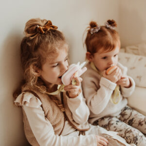 The zoofamily walkie talkie fox unicorn 4