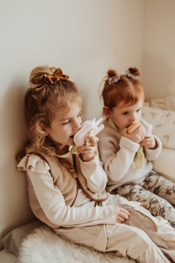 The zoofamily walkie talkie fox unicorn 4