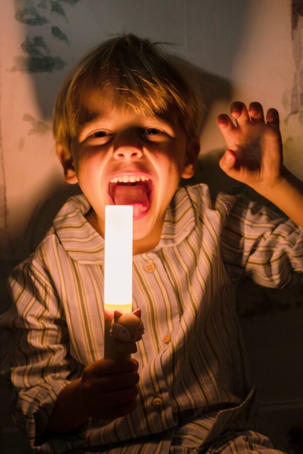 detske-nocni-svetlo