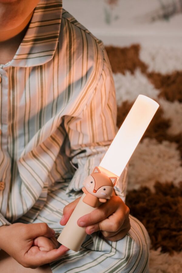 Zoo Light Fox Lighting the lamp on Lifestyle The Zoofamily Photo 12