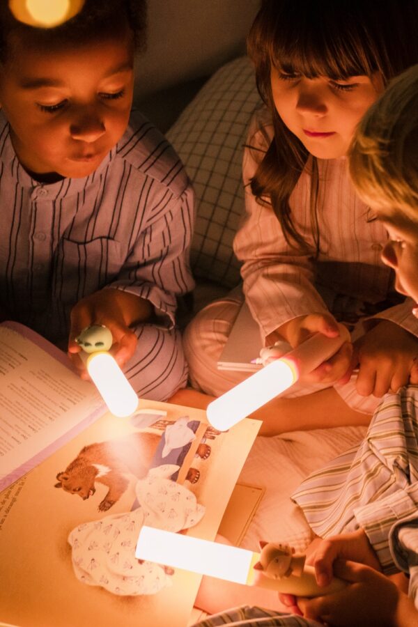 Zoo Light Fox Reading a book Lifestyle The Zoofamily Photo 4