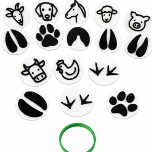 stopy-a-siluety-domaci-zvirata