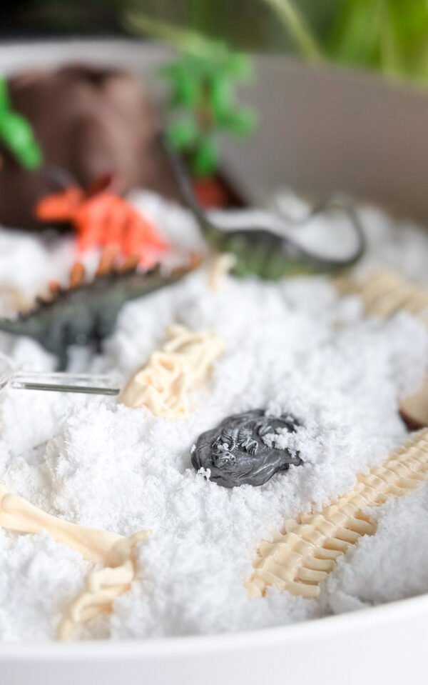 013796 Jellystone TRAY PLAY DINO KIT 12