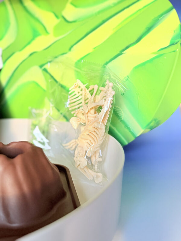 013796 Jellystone TRAY PLAY DINO KIT 15