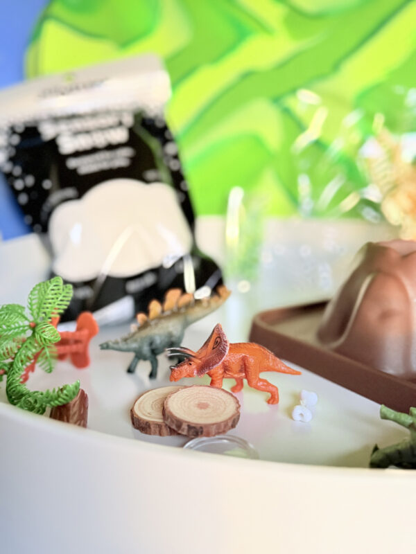 013796 Jellystone TRAY PLAY DINO KIT 16