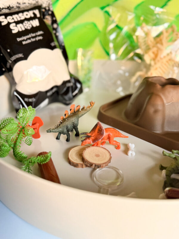 013796 Jellystone TRAY PLAY DINO KIT 2