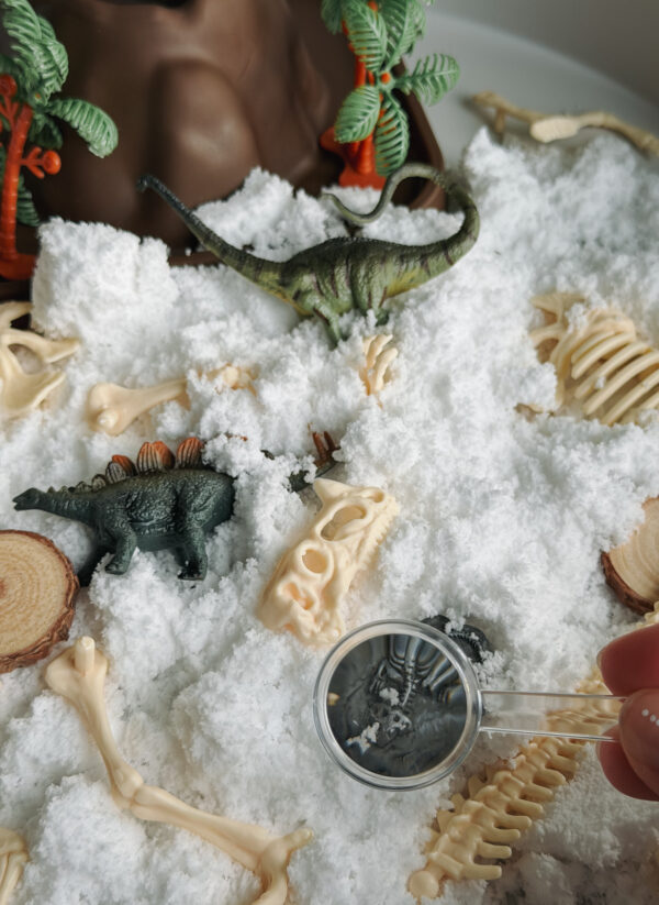 013796 Jellystone TRAY PLAY DINO KIT 3