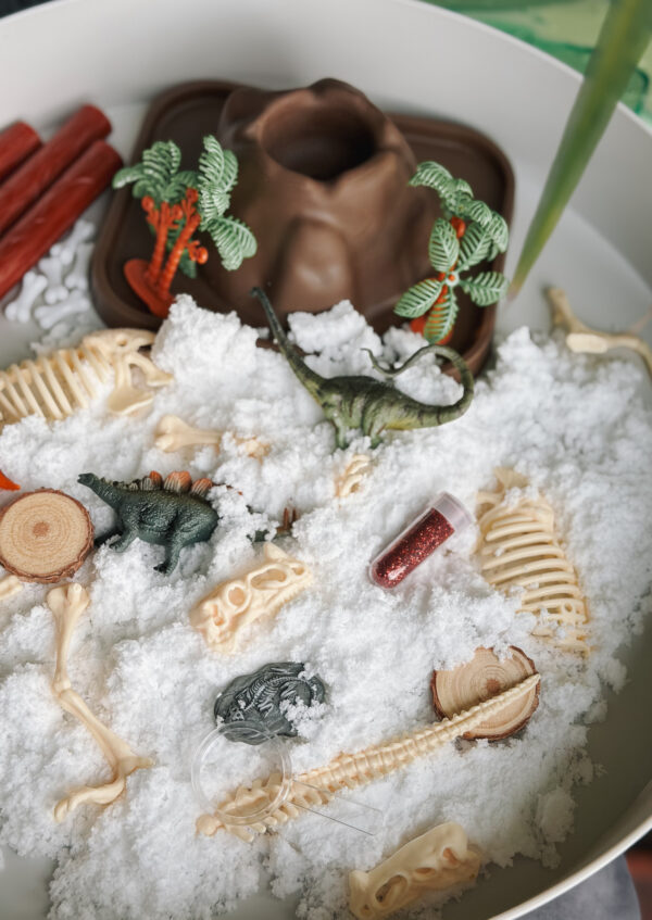 013796 Jellystone TRAY PLAY DINO KIT 6