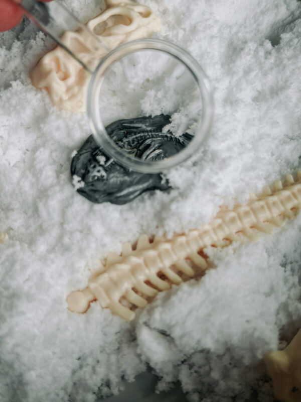 013796 Jellystone TRAY PLAY DINO KIT 7