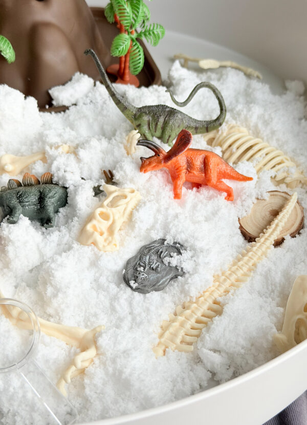 013796 Jellystone TRAY PLAY DINO KIT 8