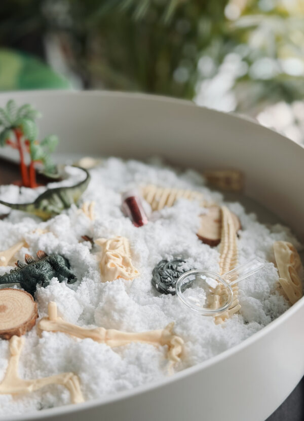 013796_Jellystone-senzoricky-set-dino